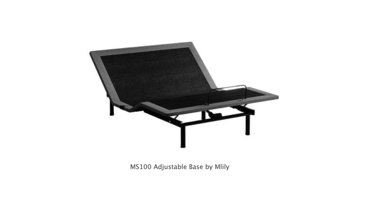 Mlily MS100
